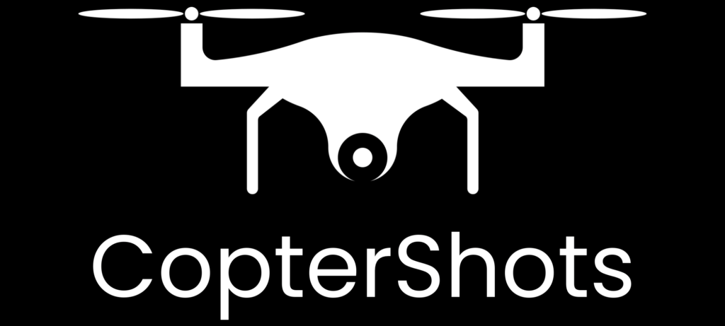 logo dark